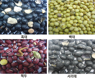 선별 전