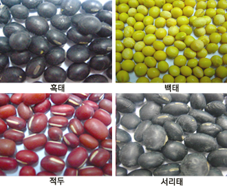 선별 후